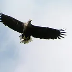 Mobile Im Mit Seezugang