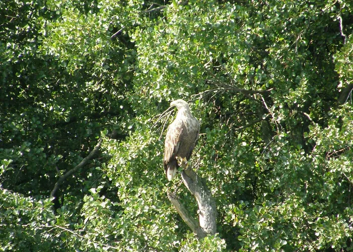 Mobile Im Mit Seezugang *