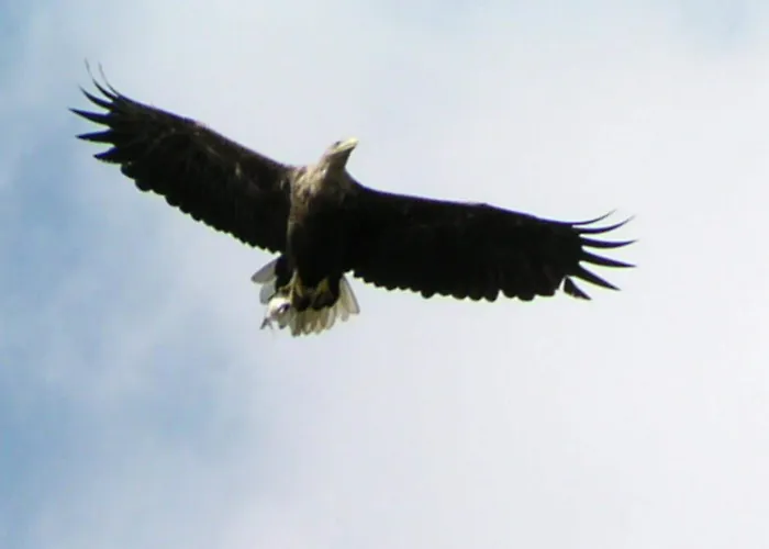 Mobile Im Mit Seezugang