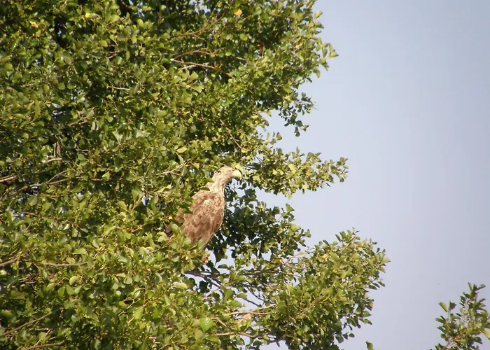 Holiday home Mobile Im Mit Seezugang *